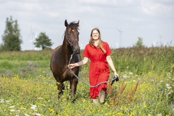 kruidenweidepaarden30